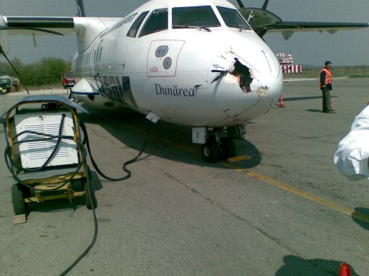 FOTO: Dinamo, la un pas de DEZASTRU!  Rednic: Ne intrebam daca pilotul si-a luat carnetul la Pitesti! Vezi cum arata avionul lovit_3