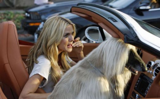 Ce-ti place mai mult: Fata sau masina? Heidi Klum, la volanul unui Bentley Continental GT_5
