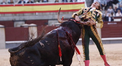 Poza ZILEI:&nbsp;Un taur il ia in coarne pe matador!&nbsp;VEZI&nbsp;FOTO: