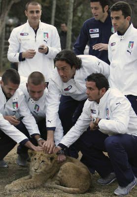 Italienii se antreneaza cu leii! Vezi superfoto cu Toni, De Rossi si Cannavaro in Africa!_5
