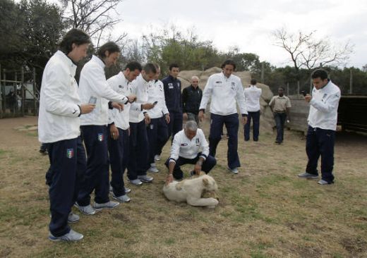 Italienii se antreneaza cu leii! Vezi superfoto cu Toni, De Rossi si Cannavaro in Africa!_10