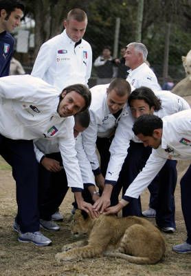 Italienii se antreneaza cu leii! Vezi superfoto cu Toni, De Rossi si Cannavaro in Africa!_6