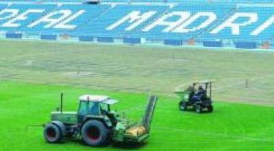 Real Madrid ca Steaua: are 9 zile sa inlocuiasca gazonul! Vezi cum arata iarba! _3