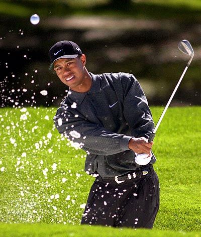 Tiger Woods - campionul veniturilor si in 2007!_5