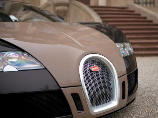 Bugatti Veyron..zeul vitezei pe pamant!_2