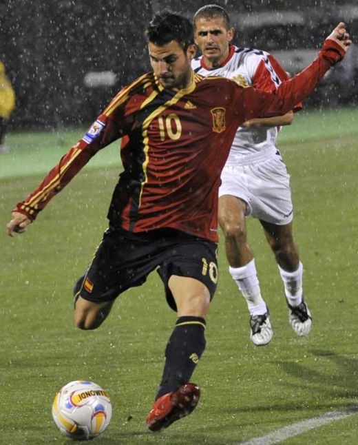 Fratii Karamyan au vazut minunea Spania pe viu! Vezi SUPER golul lui Fabregas:_7
