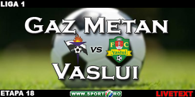 Cristi Pustai FC Vaslui Gaz Metan Medias Marius Lacatus