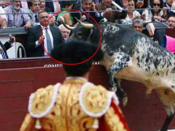 VIDEO INFIORATOR! Cu coarnele la gatul spectatorilor: un taur l-a ATACAT pe seful lui Atletico!