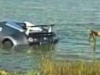 VIDEO! A ajuns cu un Bugatti Veyron de 1.2 mil $ in lac dupa ce s-a speriat de un pelican