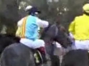 VIDEO / In loc de pumni.. Cele mai tari batai sunt la cursele de cai! :)