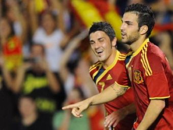 Spania este calificata! Vezi golul lui Fabregas