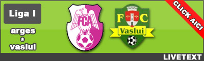 FC Arges FC Vaslui