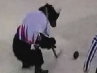 INCREDIBIL! Un urs cu patine joaca hochei ca un profesionist! Vezi super-video: