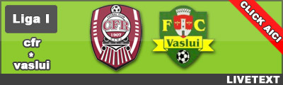 CFR Cluj FC Vaslui Liga I
