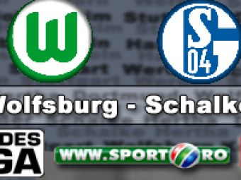 Grafite, tripla de senzatie:  Wolfsburg 4-3 Schalke!