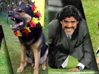 
	Cainele Maradona versus dulaul Ozil! Vezi cele mai tari poze inainte de Argentina - Germania
