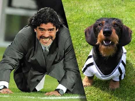 Cainele Maradona versus dulaul Ozil! Vezi cele mai tari poze inainte de Argentina - Germania_6