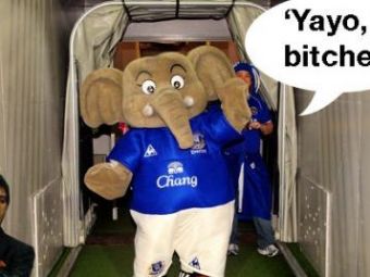 
	FOTO: Everton are cea mai &#39;ametita&#39; mascota: elefantul cocaina!
