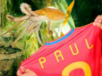
	SENZATIE! Caracatita Paul a primit un tricou personalizat al Spaniei si o statuie de bronz! FOTO
