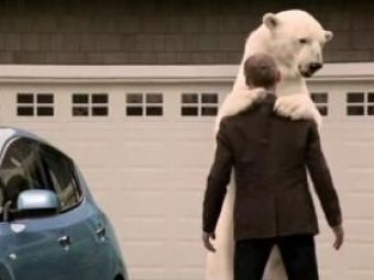 
	VIDEO:&nbsp;Vezi&nbsp;ce&nbsp;face un urs polar cand planeta se scufunda!
