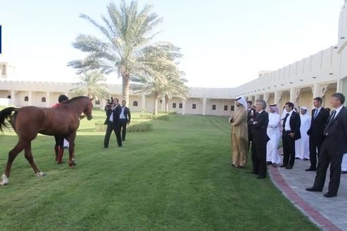 FOTO si VIDEO: Moratti s-a intalnit in Bahrain cu fiul regelui Hamad Al Khalifa! Ce cadouri a primit:_5