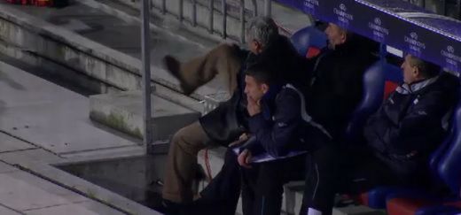 FOTO SCANDALOS! Traore, gesturi OBSCENE catre fanii lui CFR dupa ce a marcat cu AS Roma!_7