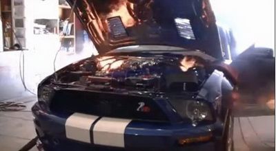 mustang foc GT500 shelby Video
