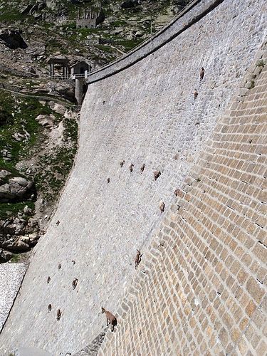 FOTO INCREDIBIL: Uita-te mai aproape la punctele de pe peretele acestui baraj din Italia. Spune-ne ce vezi:_3