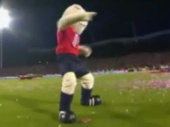 
	VIDEO / ALERTA, a turbat MASCOTA! Asta e cel mai tare dans vazut pe un stadion!
