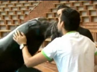 VIDEO Pedro a sarbatorit un leu de mare in Tenerife! Ce surpriza a avut fotbalistul Barcei! :)