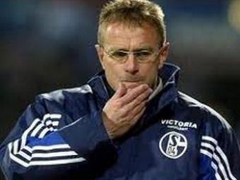 
	Schalke, fara antrenor: Rangnick si-a dat DEMISIA! Schalke isi aduce un antrenor de nationala pana la meciul cu Steaua din EL!
