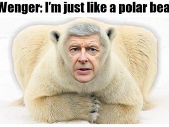 Wenger si-a declansat instinctul ANIMALIC in fata presei din Anglia! Declaratia care il face un ZEU in fata pustilor lui Arsenal