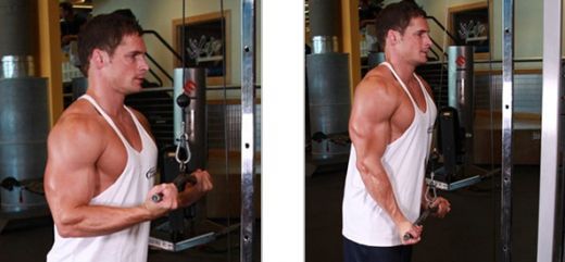 FOTO: Alege tricepsul care ti se potriveste! Antreneaza-te inteligent: 8 exercitii care iti fac bratele BETON!_5