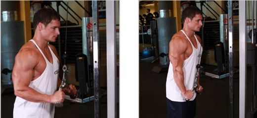 FOTO: Alege tricepsul care ti se potriveste! Antreneaza-te inteligent: 8 exercitii care iti fac bratele BETON!_8