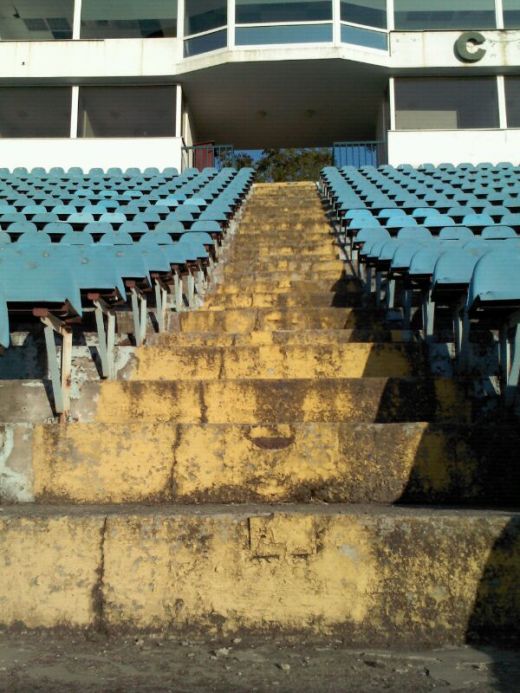 Parcul cu bastani! Stadionul Cotroceni e mancat de rugina si serpi, nocturna "abia se vede" printre palatele din jur! SUPERFOTO_22