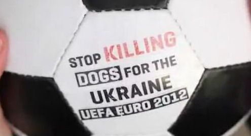 
	VIDEO: Ucraina a inceput CURATENIA pentru Euro 2012: OMOARA toti cainii de pe strazi! Nemtii au inventat o campanie GENIALA pentru oprirea masacrului:
