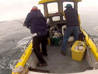 
	VIDEO Captura VIETII pentru doi pescari din Anglia! Ce SOC au avut cand au vazut ce au prins!
