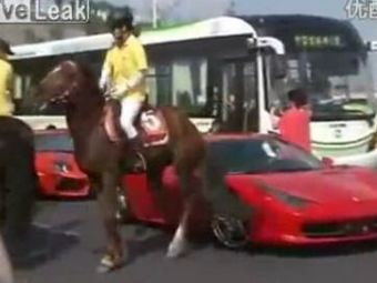 
	VIDEO: Un cal putere, mai tare decat 500! Proprietarul acestei super masini a innebunit: un cal i-a luat la suturi Ferrari-ul :)
