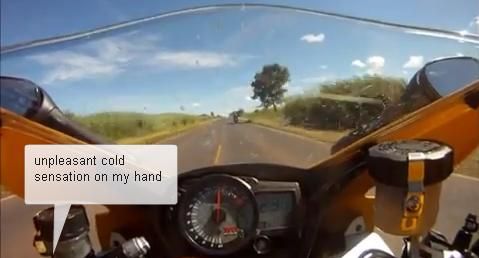 
	VIDEO: Cu moartea pe motor la 260 de km/h! Un animal surpriza s-a ascuns pe motor gata&nbsp;sa-i ia viata intr-o clipa!
