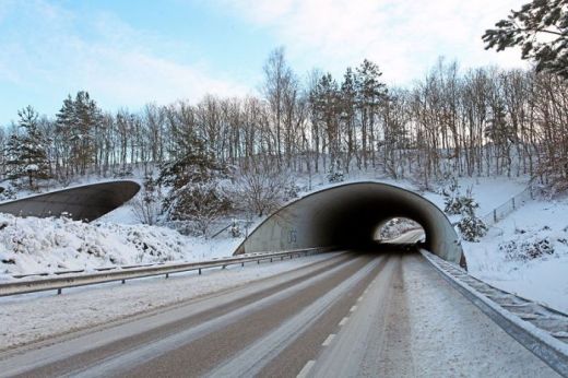 FOTO: Podurile naturale care salveaza vietile a milioane de soferi: Doar doua tari din Europa s-au gandit la asta!_11