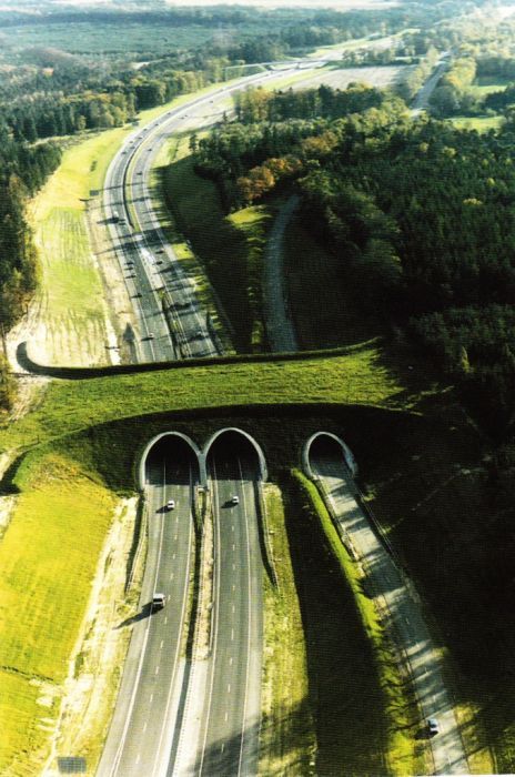 FOTO: Podurile naturale care salveaza vietile a milioane de soferi: Doar doua tari din Europa s-au gandit la asta!_5