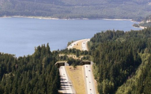 FOTO: Podurile naturale care salveaza vietile a milioane de soferi: Doar doua tari din Europa s-au gandit la asta!_10