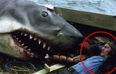 POZA SOC trimisa copiilor: "Mamiiiii, tata a fost mancat de un rechin!" Adevarul incredibil din spatele unei fotografii HORROR:_2