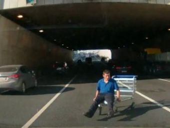 VIDEO: A scapat de la nebuni si a ajuns direct pe autostrada! Soferii l-au lasat sa-si faca numarul pana la capat!
