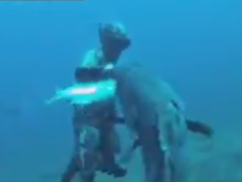 
	VIDEO Surpriza IMENSA in adancuri! A prins un peste cu mainile, dar a fost ATACAT pe neasteptate! Cea mai tare faza pe sub ape:
