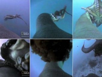 
	VIDEO E prima data cand asa ceva a fost filmat! Batalie EPICA sub ape! Lupta INCREDIBILA pentru supravietuire:
