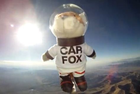 VIDEO FABULOS! Americanii au trimis prima vulpe in spatiu! Vezi cum a zburat 'Little Felix' pana la 27.000 de metri! Aterizarea a fost perfecta!_1