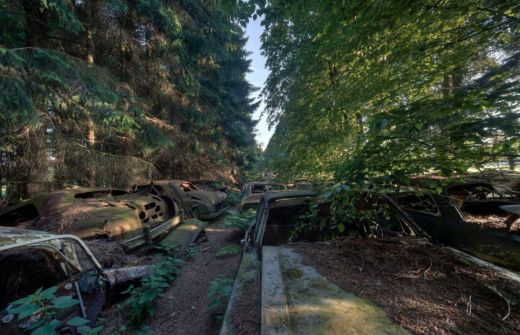 
	Cel mai mare CIMITIR auto! Soldatii americani au abandonat MII de masini dupa al doilea Razboi Mondial! Cum arata padurea ruinelor

