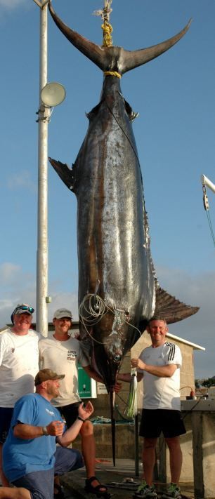 Un pescar astepta de 25 de ani captura asta: A prins un MONSTRU de 6 metri lungime si 600 de kg! FOTO INCREDIBIL_6