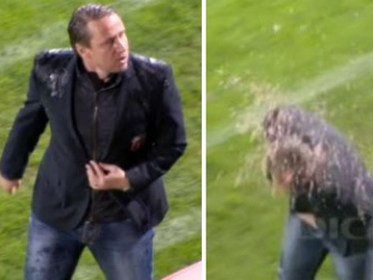 EXCLUSIV Cel mai jenant moment de la Rapid - Steaua a fost rezolvat! Ce s-a intamplat cu fanul care a aruncat cu &quot;un lichid&quot; pe Reghecampf: